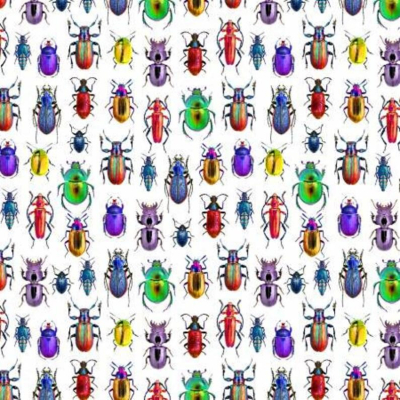 Coloured Beetlebugs White Background