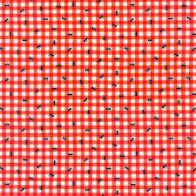 Farm To Table - Black Ants Red & White Plaid