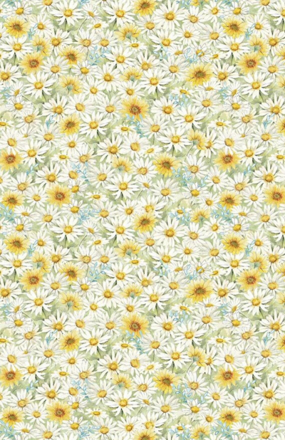 Zest For Life - Daisies All Over