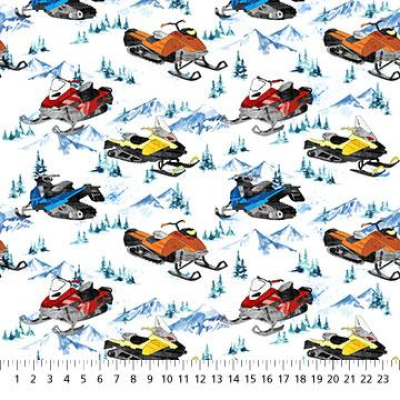 Winter Sports - Snowmobiling 