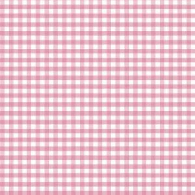 Blush Garden - Pink Plaid