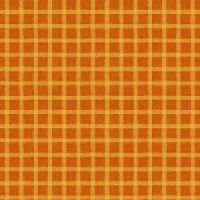 Autum Light - Orange Plaid