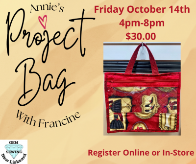 Project Bag With Francine